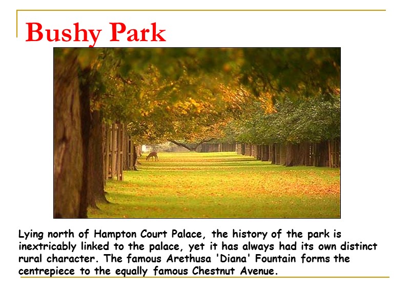 Bushy Park Lying north of Hampton Court Palace, the history of the park is